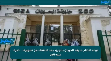 موعد افتتاح حديقة الحيوان بالجيزة بعد الانتهاء من تطويرها.. تعرف عليه الآن